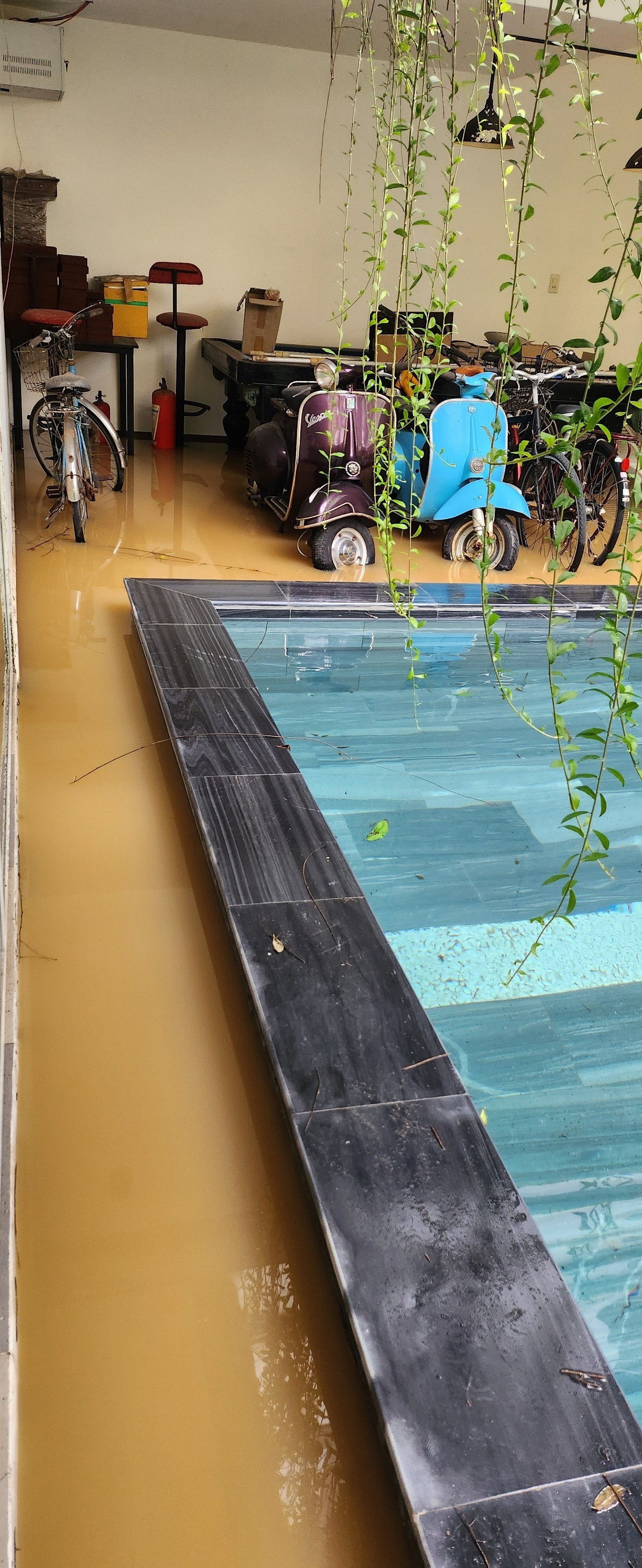 Cận cảnh ngôi nhà ca sĩ Ánh Tuyết ở Đà Nẵng ngập nặng- Ảnh 2. Ngập nước trong phòng khách nhà Ánh Tuyết