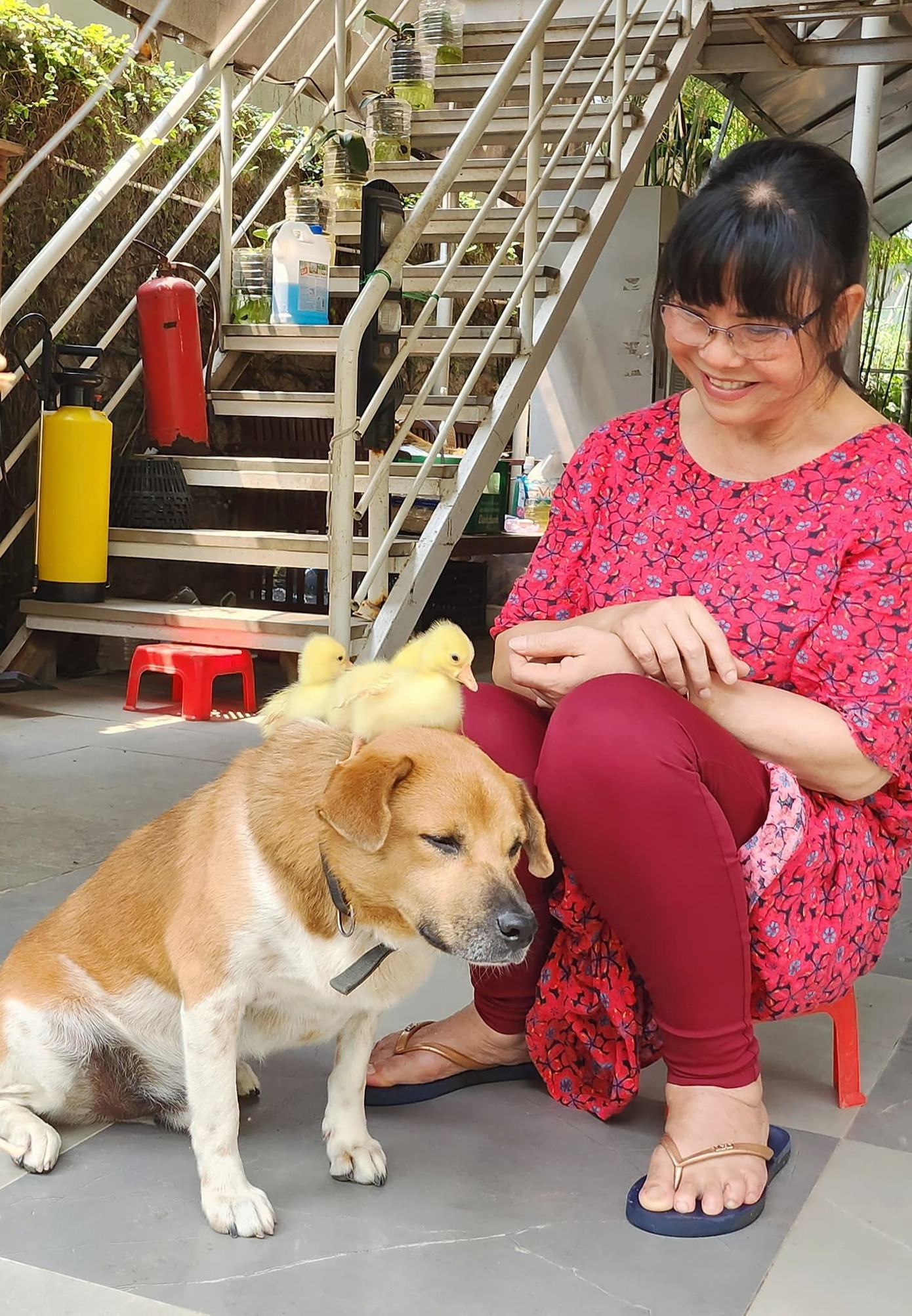 Cận cảnh ngôi nhà ca sĩ Ánh Tuyết ở Đà Nẵng ngập nặng- Ảnh 5. Nhà vườn rộng rãi của ca sĩ Ánh Tuyết