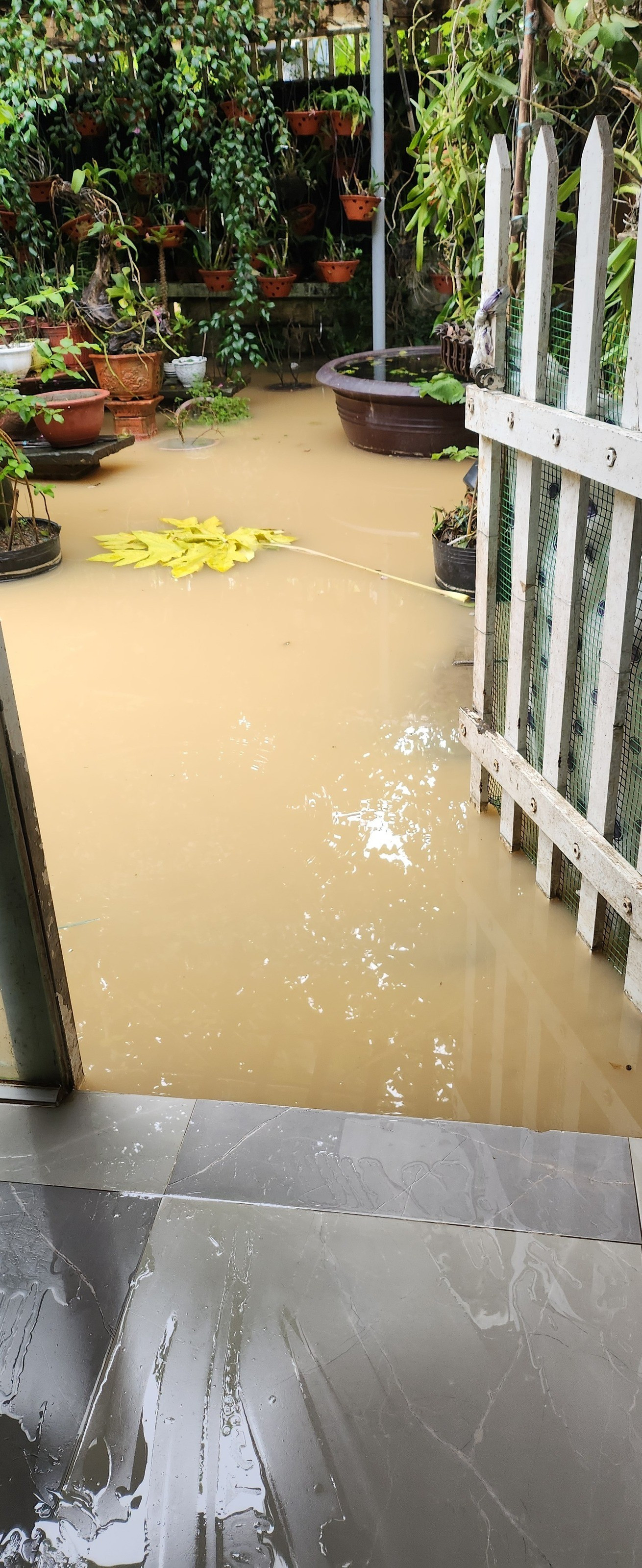 Cận cảnh ngôi nhà ca sĩ Ánh Tuyết ở Đà Nẵng ngập nặng- Ảnh 3. Ngôi nhà ca sĩ Ánh Tuyết bị ngập nặng