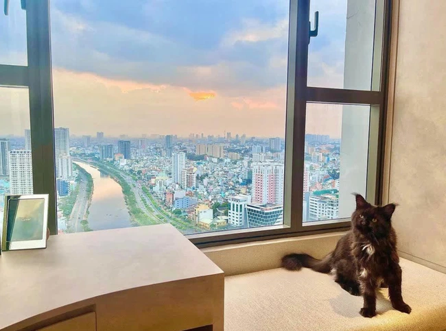 Sào huyệt của Trấn Thành- Ảnh 5. View toàn cảnh thành phố từ căn hộ