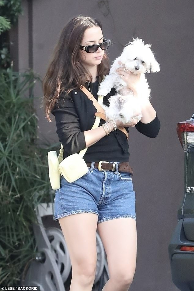 Mỹ nhân Cuba sau chia tay Tom Cruise- Ảnh 2. Ana de Armas đưa chó đi dạo ở Los Angeles