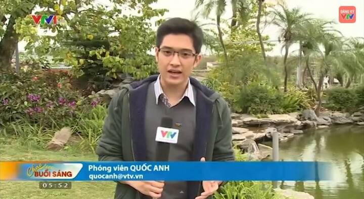 Quốc Anh từng dẫn các chương trình Chào buổi sáng, Quốc gia số, Thời sự 19h