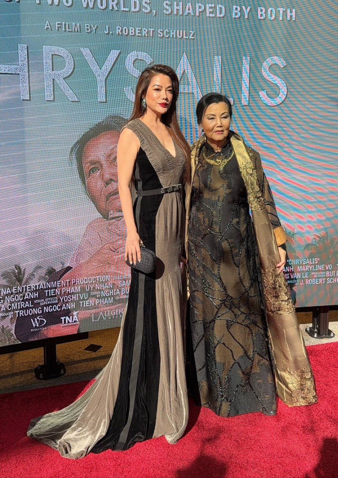 Trương Ngọc Ánh sụp đổ- Ảnh 5. Khán giả quan tâm số phận dự án phim