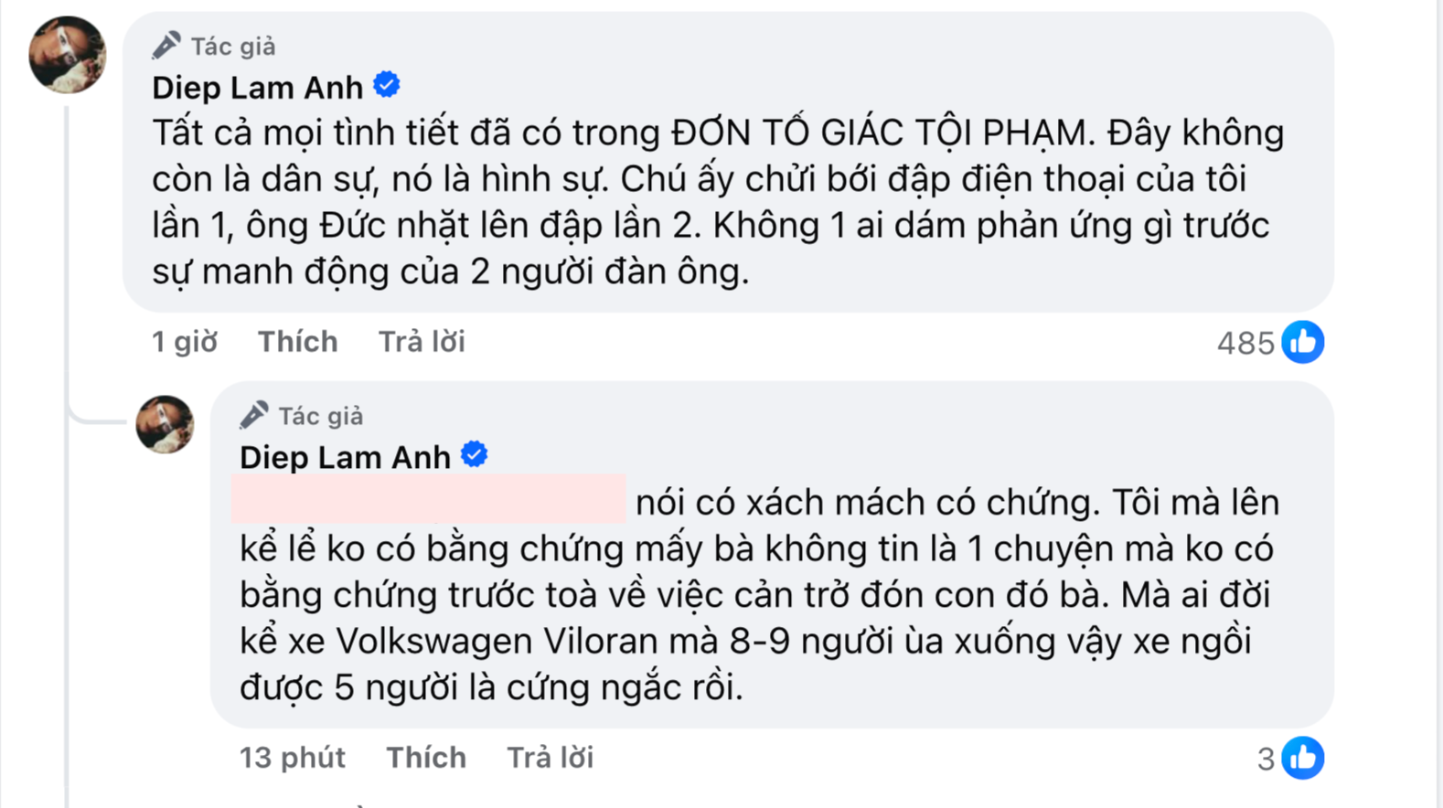 Diệp Lâm Anh phản hồi số lượng người đi cùng