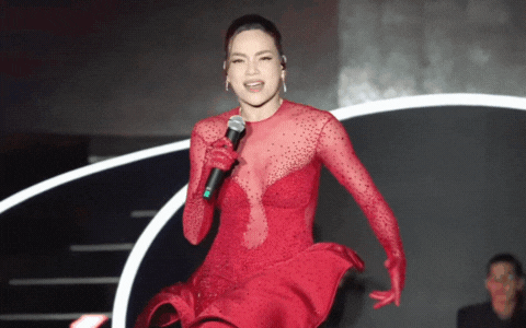 Bị cả cõi mạng đùa giỡn, Lệ Quyên viết tâm thư - Hồ Ngọc Hà đáp trả 2 chữ- Ảnh 1. Hồ Ngọc Hà bị cả cõi mạng trêu đùa